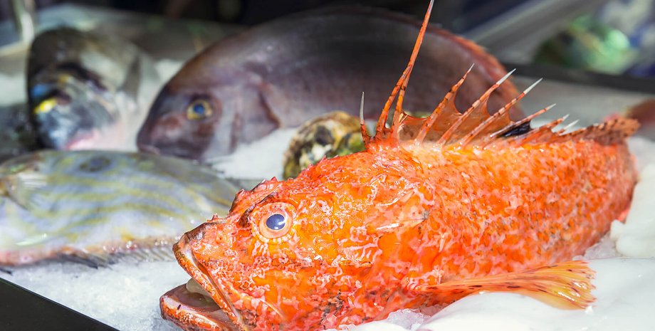 рыба на льду