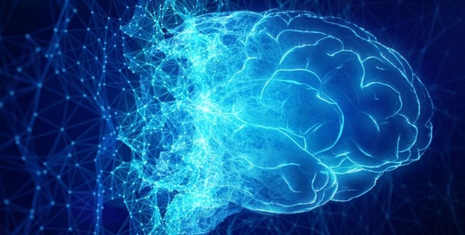 мозг, здоровье, стресс, умственные способности, психическое здоровье, исследования, сон, диета, депрессия, образ жизни, терапия, работа, жизнь, болезнь