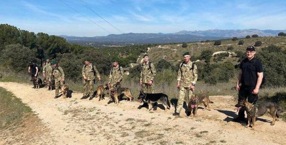 В Испании прошли первые занятия кинологов ГПСУ