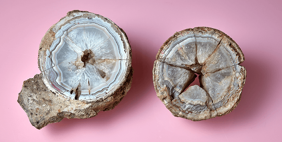 динозавр, музей, мінерал, агат, вулкан, вулканічна активність, тиранозавр, дослідження, вчені, древні тварини, індія, агат, яйце динозавра, агат в яйці динозавра, мінерад виявився яйцем динозавра