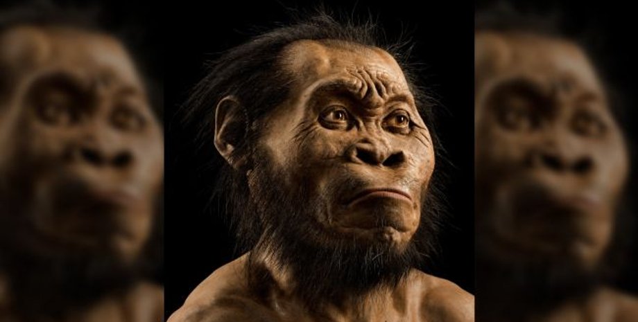 поховання, історія, печера, древні люди, предки людини, дослідження, розвиток людства, складна діяльність, археологія