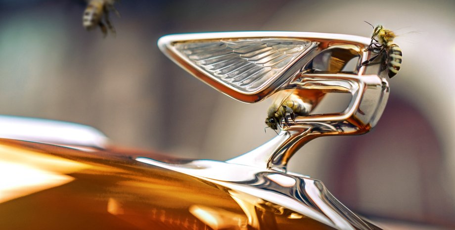 логотип бентли, мед бентли, мед Bentley, пасека Bentley, Flying Bees