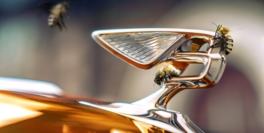 логотип бентлі, мед бентлі, мед Bentley, пасіка Bentley, Flying Bees