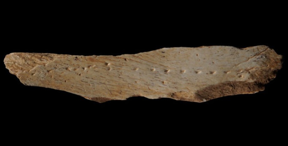 технология доисторической одежды, обработка костяных обломков, история Западной Европы, орудия труда первобытного человека, древняя мода, исследования, археология, древние люди