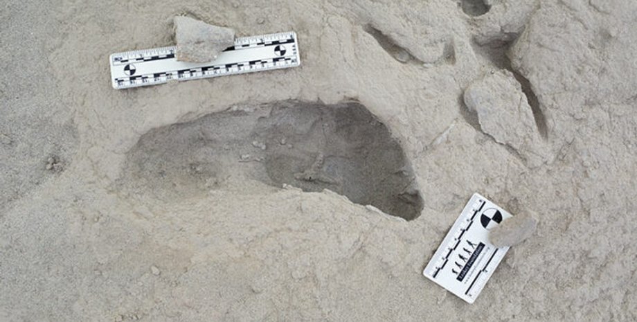 Кения, следы, гоминиды, Paranthropus boisei, Homo erectus, люди, человечество, сосуществование, история, открытие, окаменелость, озеро, Туркана, предки, человек