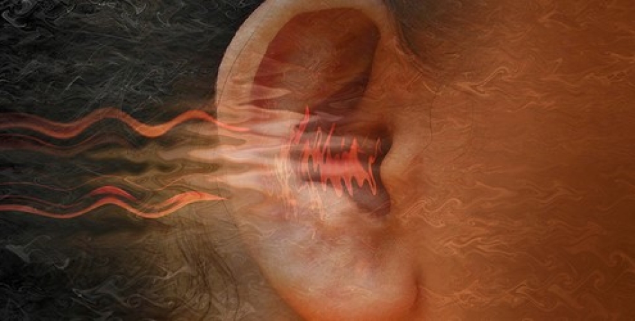 ухо звуковые волны ухо