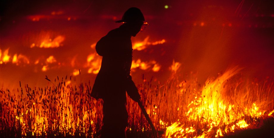 Фото: Australian Geographic