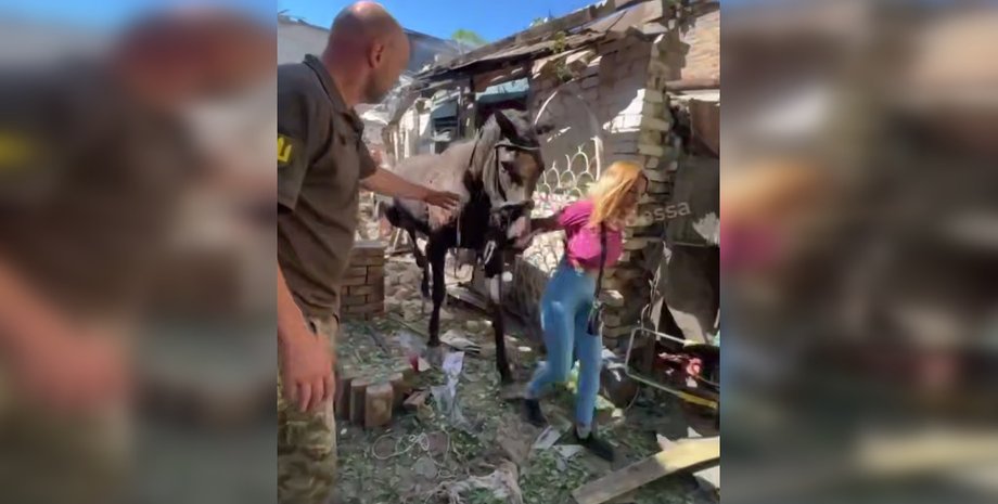 Шахед прилетел по конюшне в одессе