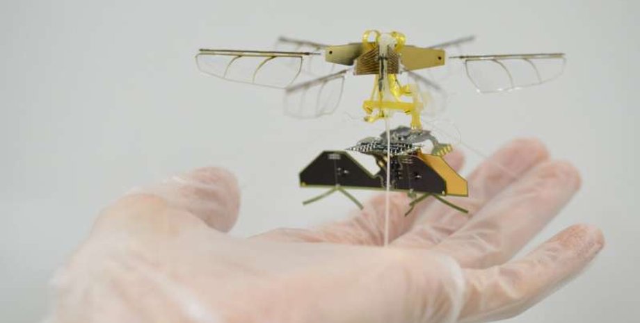 дрон, робот, бот, насекомое