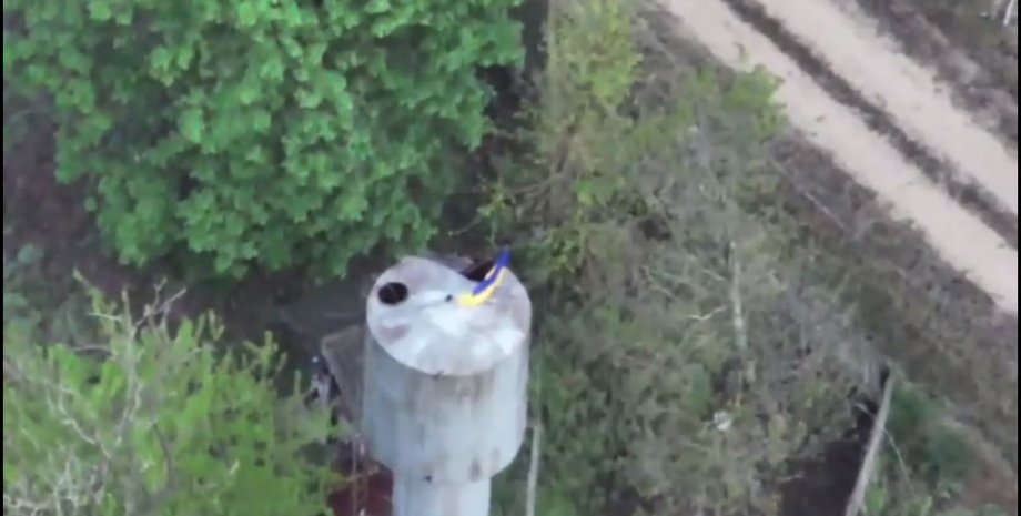 война в украине, война рф против украины, новости херсонщины, бои в казачьих лагерях, ситуация казачьи лагеря