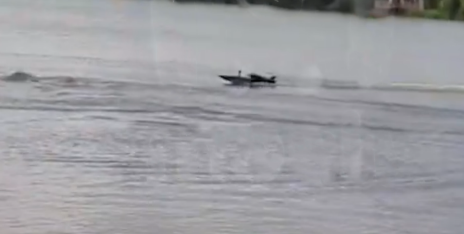 морской дрон реванш в море