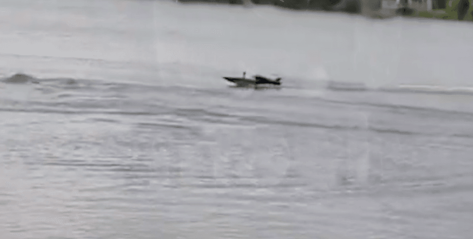 реванш в море