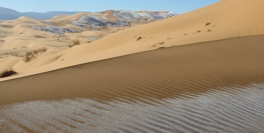 Сахара, Пустеля, Сніг, Іній, Верблюди, Фотограф