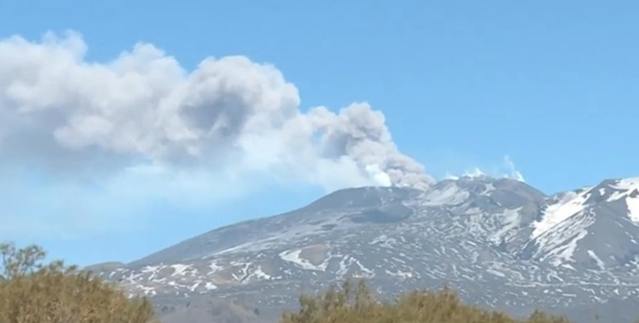 Фото: Скриншот