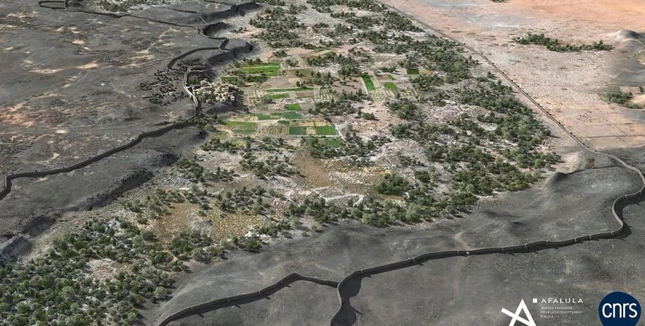 оазис оазис