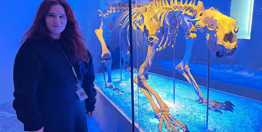 останки, белый медведь, скелет