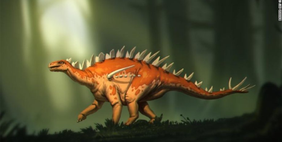 Bashanosaurus primitivus, стегозавр