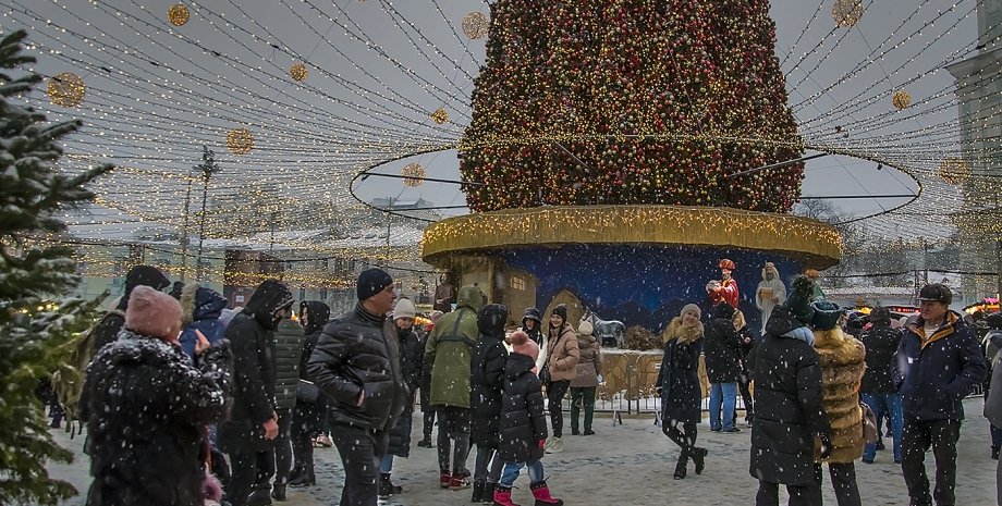 елка киев елка киев, новый год, рождество