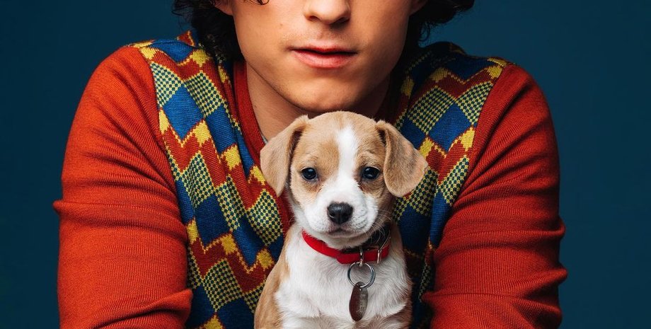 Том Холланд, Том Холланд человек паук, Том Холланд зендая, Том Холланд алкоголь, Том Холланд фильмы