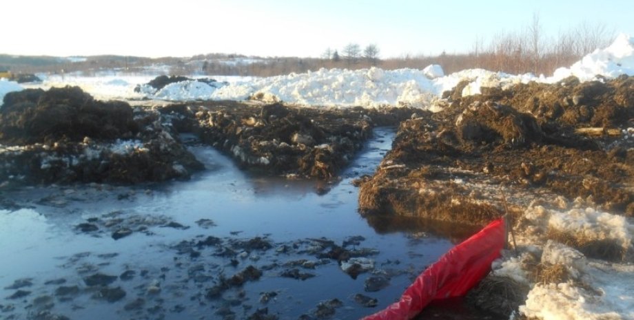 Разлив нефти на Сахалине / Фото: sakhalin.info