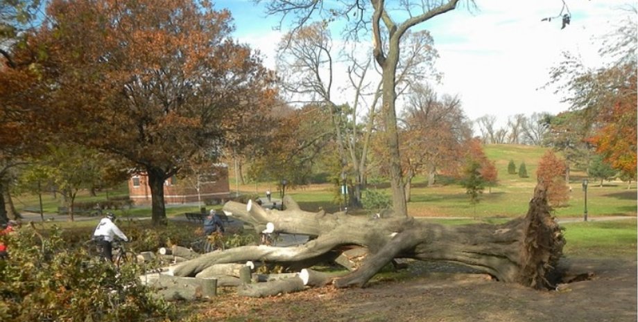 Фото: pixabay.com