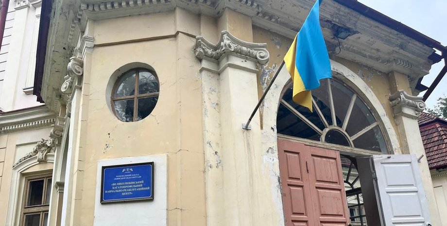 новини львова, реабілітаційний центр на львівщині, скандал, побиття дитини, андрій садовий, діти-сироти