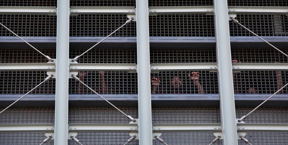 Де утримуватимуть Мадуро у США Metropolitan Detention Center в'язниця Нью-Йорк Мадуро
