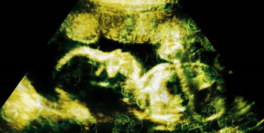 новонароджені, діти, мікропластик