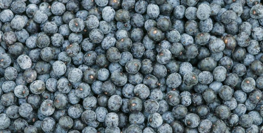 ягода асаї, Амазонка, корінне населення, харчування, користь для здоров'я, кулінарні традиції, лікувальні властивості, пальма асаї, будівельні матеріали, ремесла, народна медицина