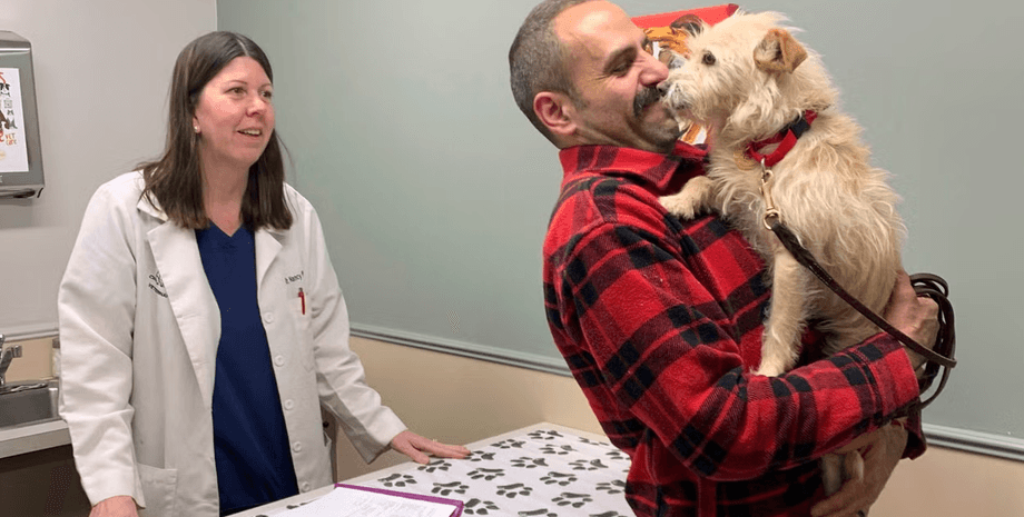 Собака вернулась домой спустя 9 месяцев, домашнее животное, собака, собака по кличке Мишка, за 3200 км от дома, ветеринары