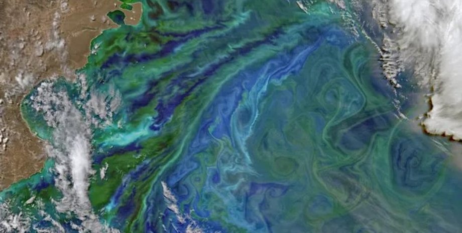 океан, океан із космосу, океан водорості