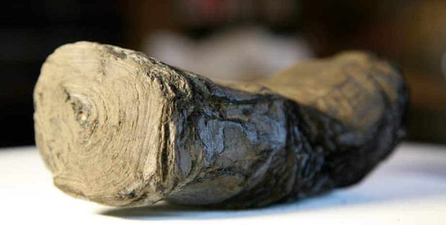 Обугленные свитки из Геркуланума. Фото: Diamond Light Source/Digital Restoration Initiative, University of Kentucky