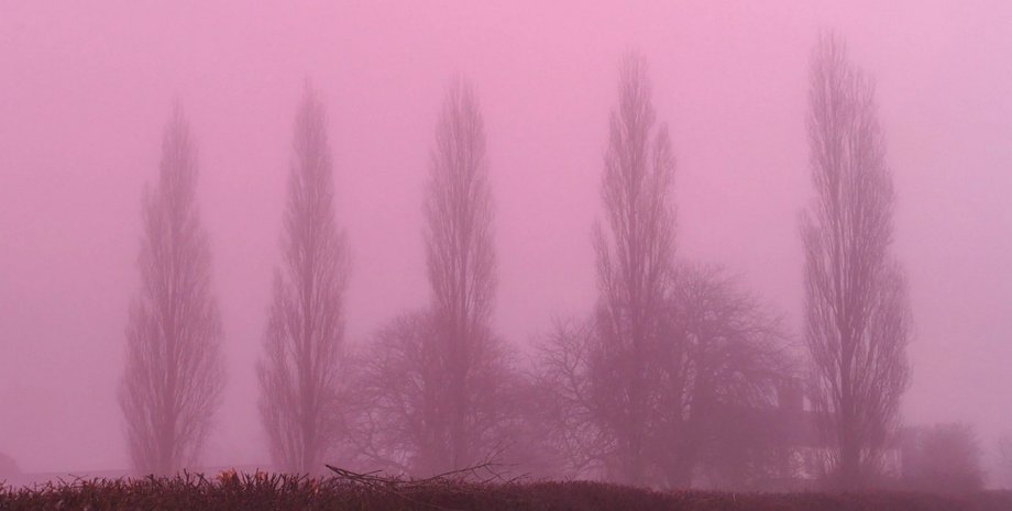 Розовый туман