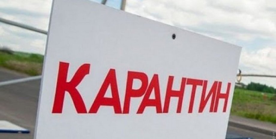 Фото: Думская