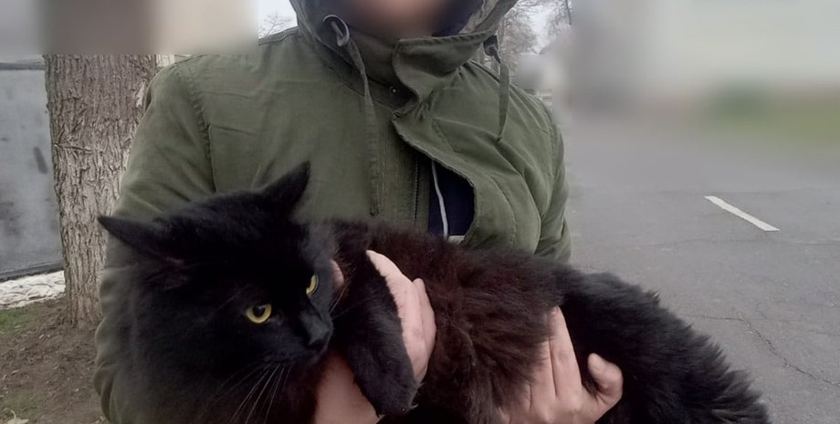 уклонист, мужчина