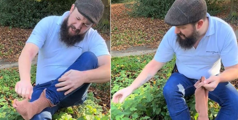 Користь кропиви для суглобів, чоловік розповів, як рослина допомагає при артриті, властивості кропиви