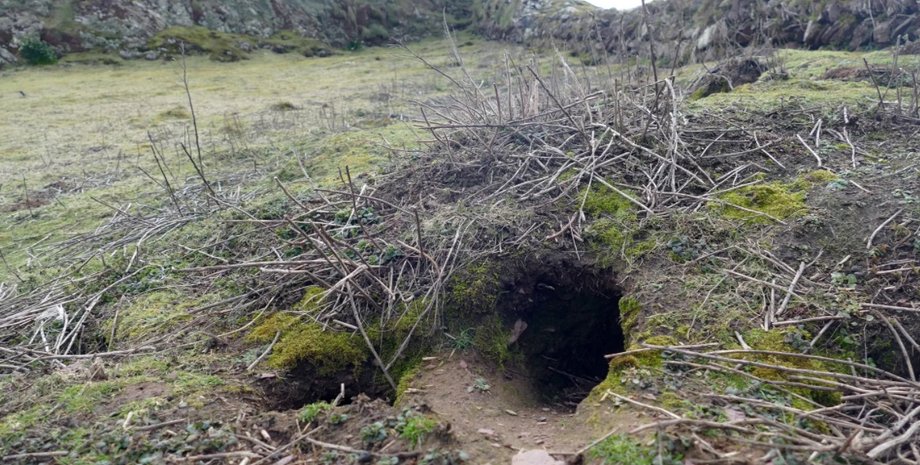 кроличья нора, артефакты, археология