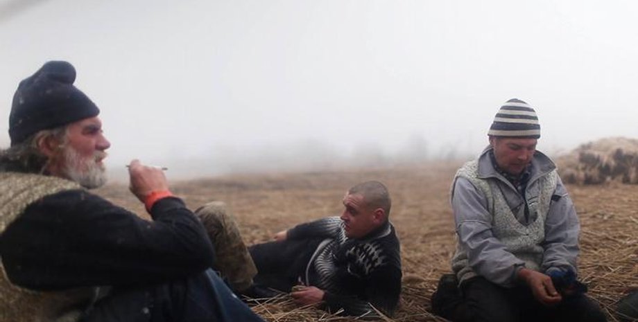 Кадры из фильмов "Дельта", "Вулкан", "Когда падают деревья"