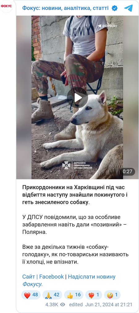 Пограничники спасли собаку в Харьковской области