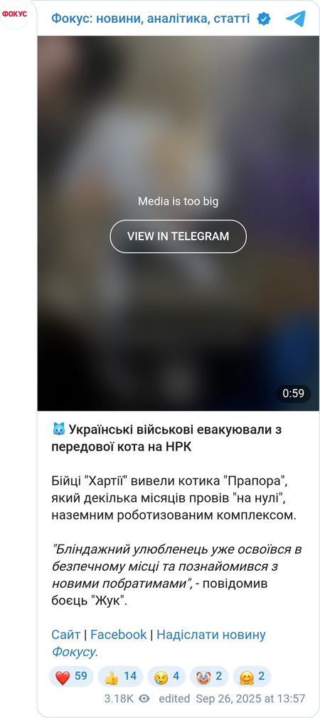 Бойцы НГУ эвакуировали кота на НРК