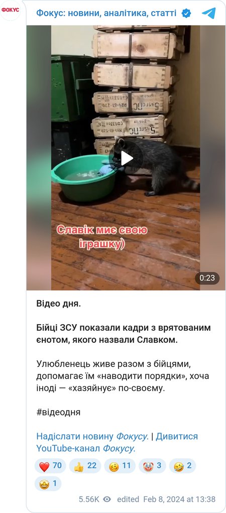 Военный показал будни енота