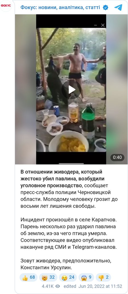 Видео с убийством павлина.