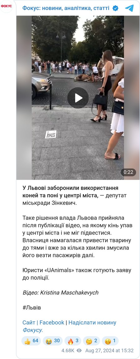 Конь упал в центре Львова