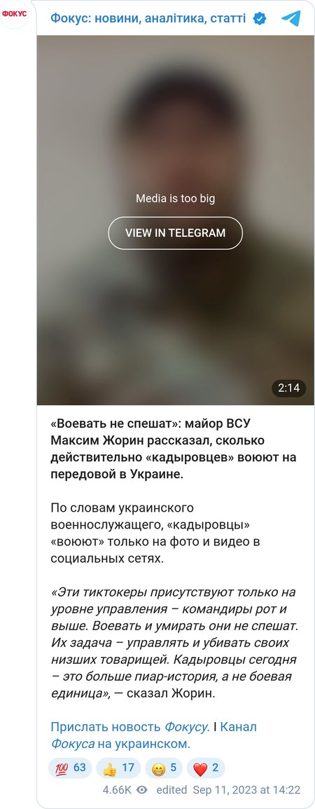 Максим Жорін про "кадирівців"