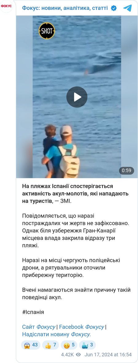 Акула біля пляжу на Канарських островах