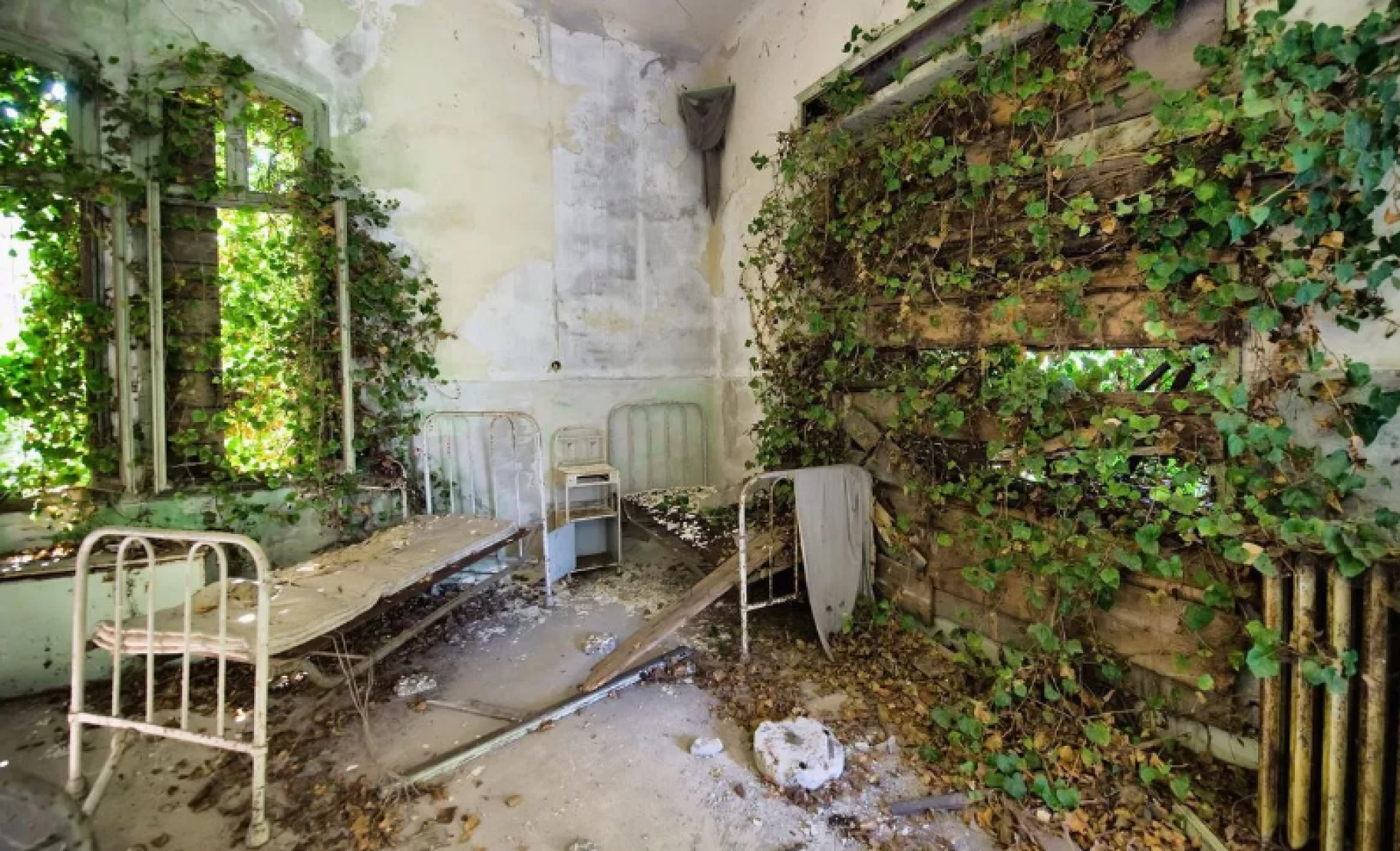 Повелья лікарня що відбувається на острові Повелья