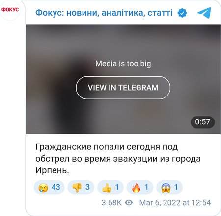 Видео обстрела мирных жителей в Ирпене. Возможно, это тот инцидент, о котором рассказала омбудсмен.