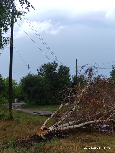 ураган, Полтавская обл, последствия урагана