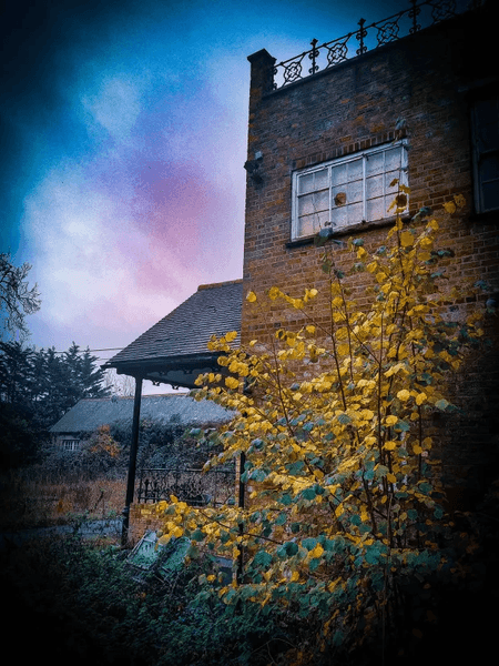 Покинутий особняк, будинок, руїни, житло, нерухомість, розкішне житло, розграбували вандали, цінні речі, курйози, фотограф