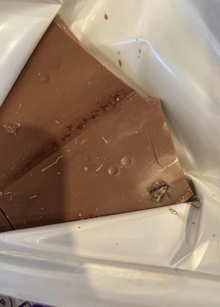 Шоколад, сюрприз в шоколаде, неприятный сюрприз, находка внутри шоколада, моль в шоколаде, насекомое в шоколаде, липкий шоколад